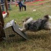 foire-haricots 2011-09-17et18